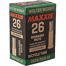 maxxis welterweight tube 29