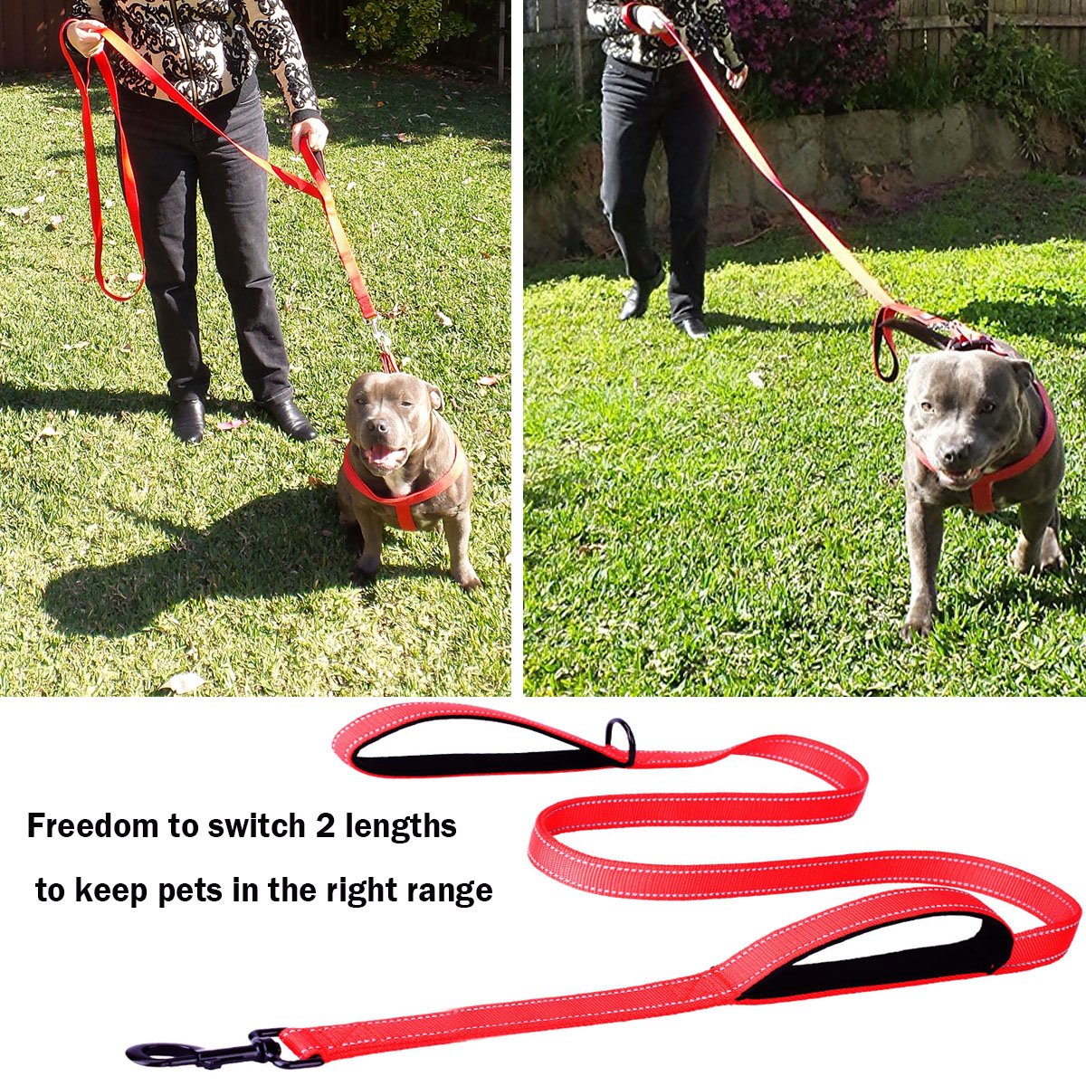 HooTech Dog Leash & Collapsible Pet Feeding Bowl,Dog Training Leash Reflective Durable Training Rope,Double Handle Lead for Control Safety Training,Perfect for Large/Medium Dog(150cm Long) (Red)