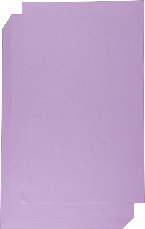 Colored Paper 60Count 8.5 x 14 Legal Size Heavyweight