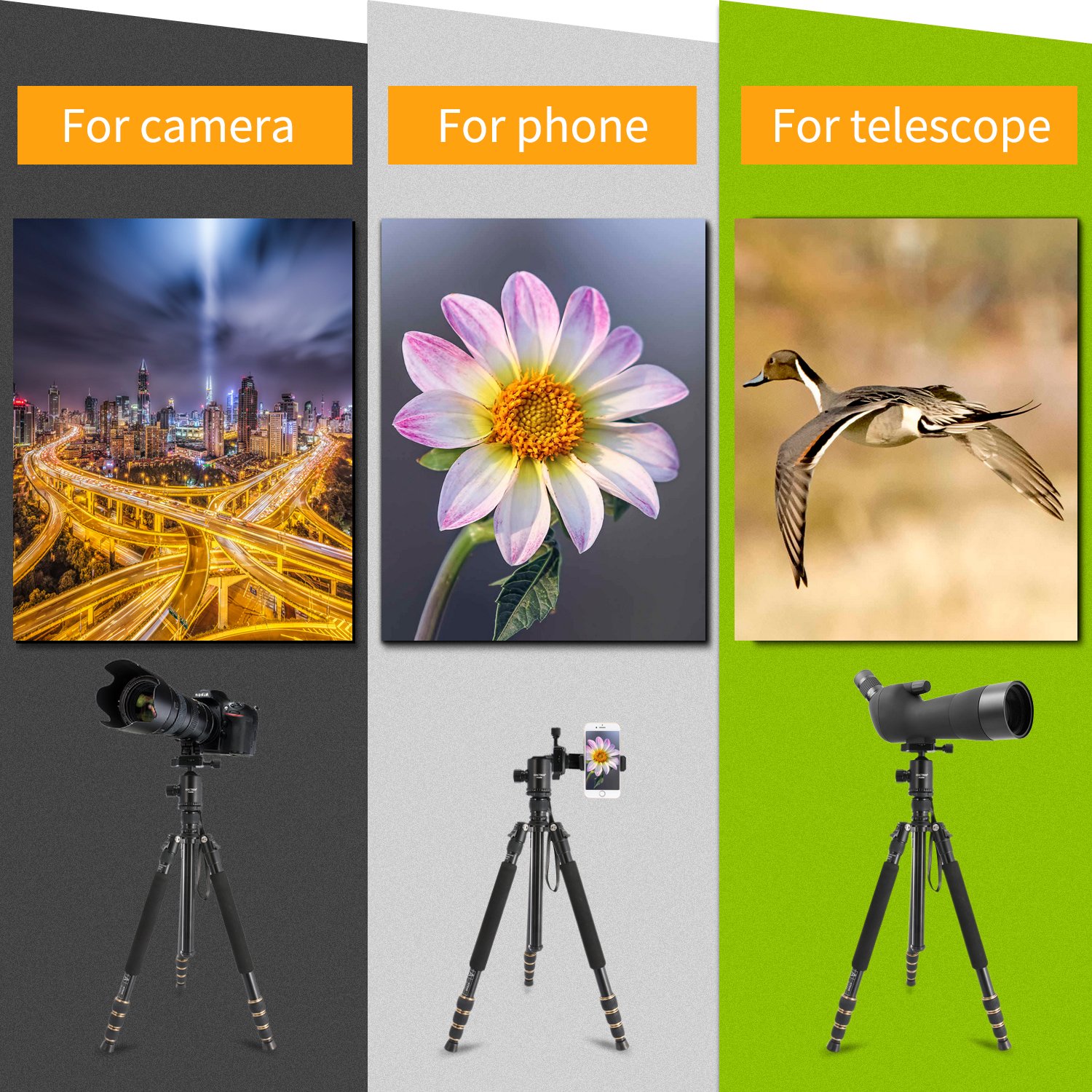 Tragbares Aluminium und Magnesium Kamerastativ Mactrem AT64, 163,8cm (64.5’’), abnehmbares Einbeinstativ, 360 Grad Kugelkopf, 63,5cm (¼’’) Schnellwechselplatte und Tragetasche für Digital/Video/Spiegelreflex Kameras – 15kg (33lbs) maximale 