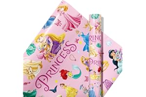 Hbavfihnbg 5 Pcs Princess Wrapping Paper Princess Gift Wrap Bulk Art Paper Folded Flat for Baby Shower Princess Birthday Party Decorations Wedding DIY Crafts Gift Packing, 20 x 30 Inch