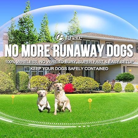 Bury a dog in your backyard