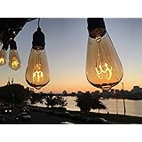 The Burton Bulb - Edison Style 5W=40W LED Dimmable Light Bulb: 10 Bulb String with Flickerless LED Technology