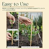 BPIL Bamboo Plant Canes 2ft-10ft Heavy Duty Garden Stake 14-16mm view 5