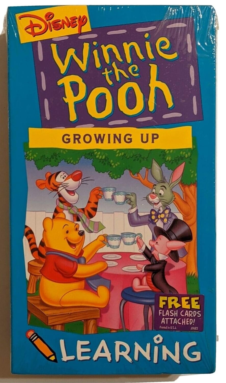 Amazon Winnie The Pooh Growing Up Learning Series with Attached 