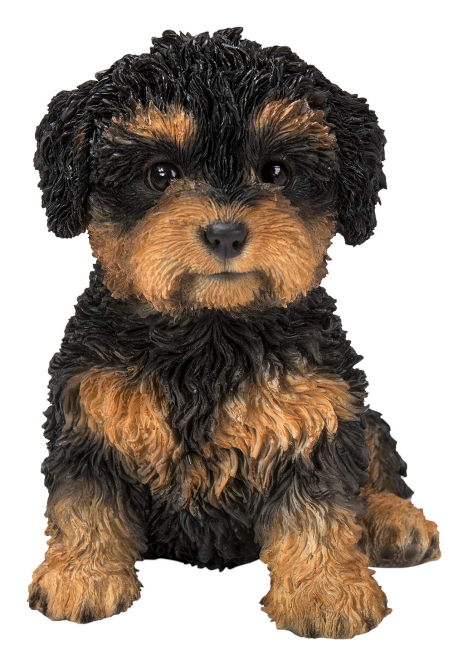 Pet Pals Black and Tan Cavapoo | Resin Home or Garden Decoration | PP-CAV1-F