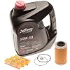 SeaDoo Oil Filter & O-Ring Set with NGK Spark Plug Honduras