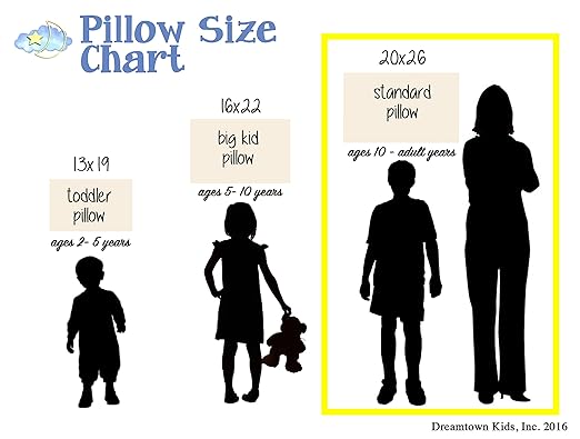 Amazon Com Dreamtown Kids Standard Size Pillow With Organic