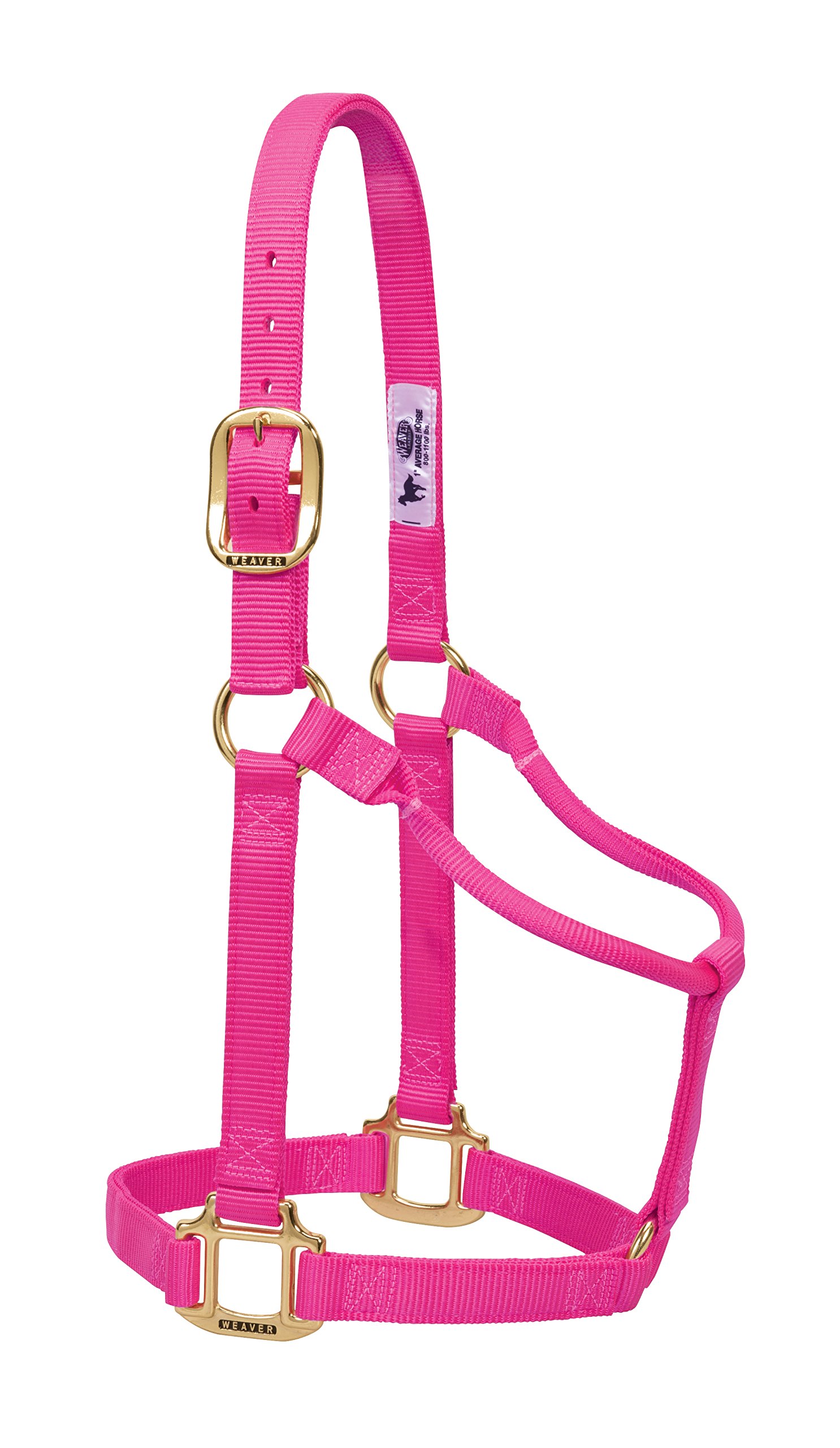 Weaver Leather Original Non-Adjustable Nylon Horse Halter, Small, Diva Pink