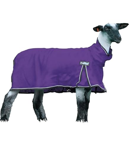 Gray Sheep グレシプ Great Busters ver. COLOR Amazon.com: Little Buster Toys Champion Crossbred Market