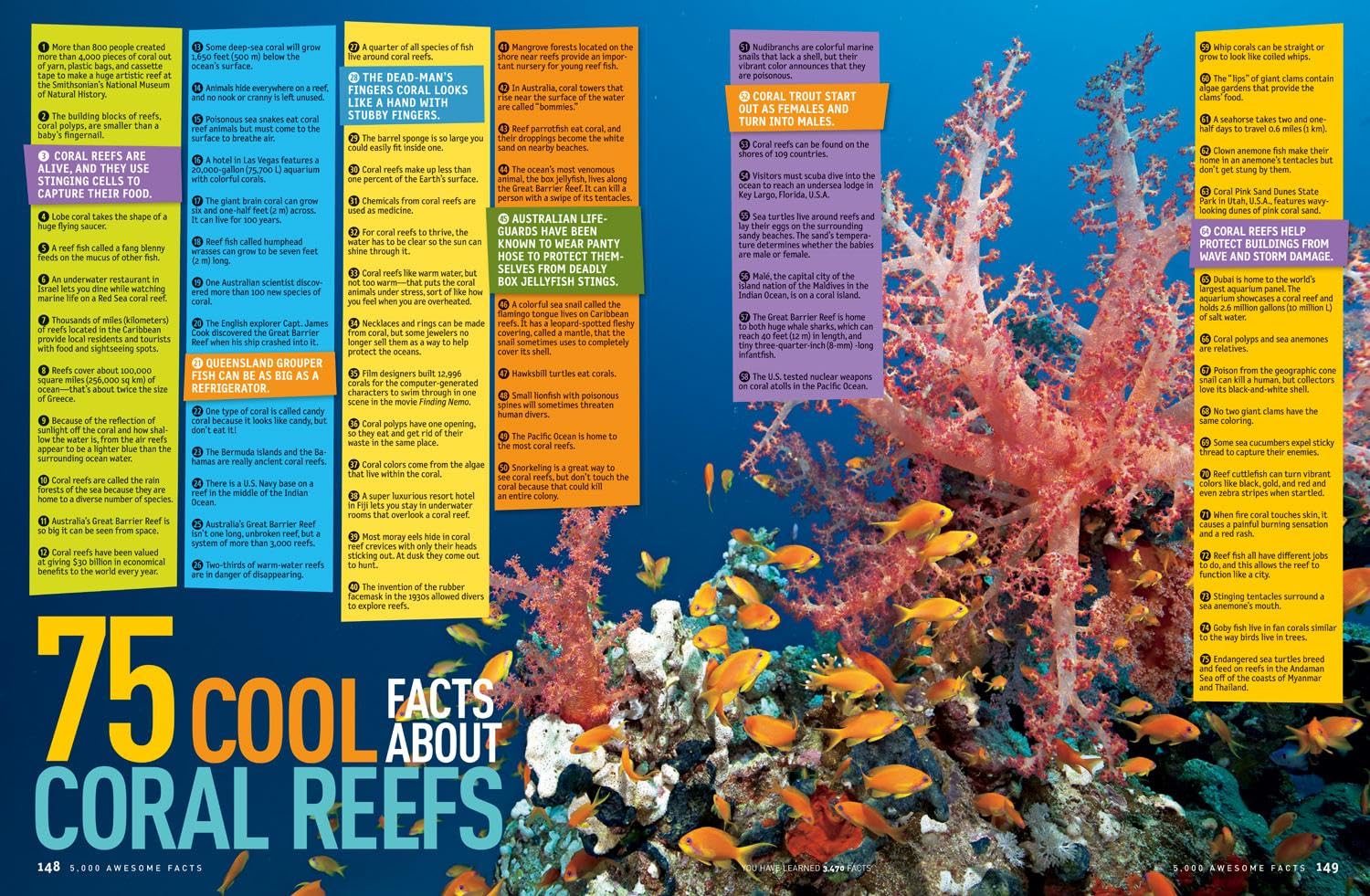5,000 Awesome Facts (About Everything!) (National Geographic Kids) 5,000 Awesome Facts (About Everything!) (National Geographic Kids) Hardcover Library Binding Spiral-bound