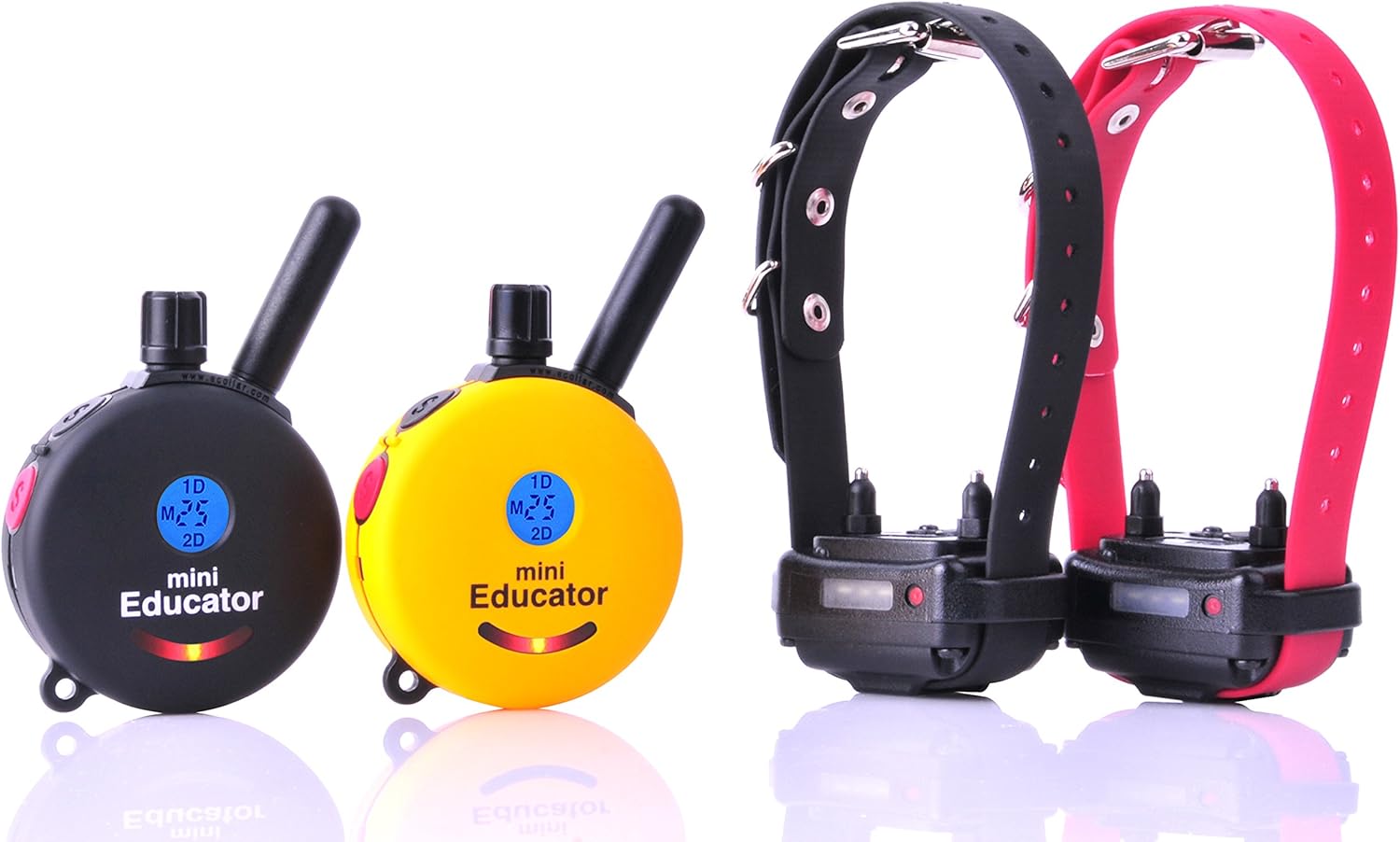 mini educator 2 dog system