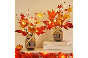 TURNMEON 2 Pack & Timer Thanksgiving Decorations 13.5 Inch Fall Table Centerpieces Mason Jar with 20 LED Lights Maples Leaves Pumpkins Berried Thanksgiving Centerpieces for Dinner Table Home Kitchen Office