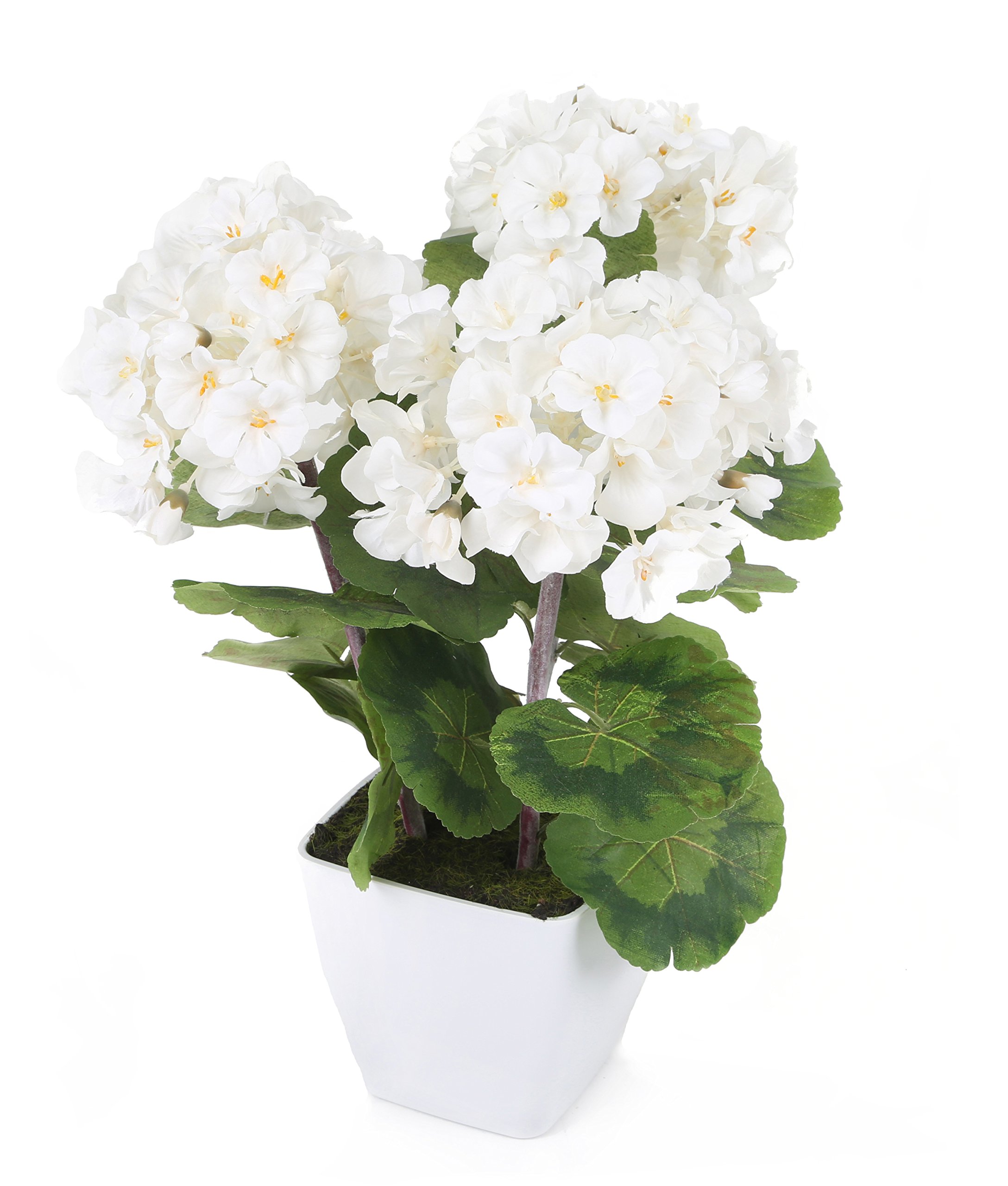 Closer2Nature - White Zonal Geranium Artificial Plant; 1ft 2" Fake Geranium Plug Plant; Artificial Flowers Perfect as Indoor Plant or Outdoor Plants - White Pot Included