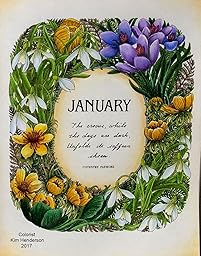 Amazon.com: The Flower Year: A Coloring Book (9781780679549): Leila ...