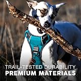 Embark Pets Urban Dog Harness No Pull Front Back Leash Clips Adjustable view 6