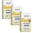 Jovial Organic Einkorn Unbleached All Purpose Flour - Bread Baking Flour for Sourdough, High Protein, Non-GMO, Organic Pizza & Pasta Flour, European Italian Flour, Glyphosate Free - 32 Oz, 3 Pack
