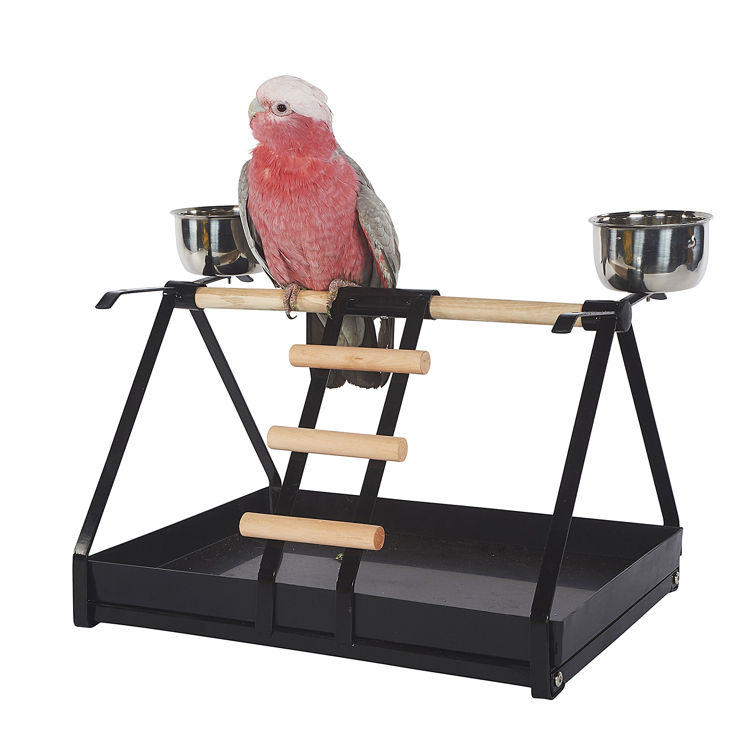 Kookaburra Cages Parrot Play Stand with Feeders for African Grey Amazon Cockatoo