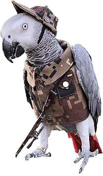 Amazon Gingerain鳥用飛行服 おうむオウム服 オウム飛行服 鳥の飛行スーツ 鳥の着物 鳥の飛行服 鳥用の服 インコ用服 服を着たオウム かわいいオウム 新しい 創造的 ペットの鳥の服オウムの服調整可能 インコの服 おうむのおもちゃ 洗濯可能 柔軟性 通気性 着心地良い