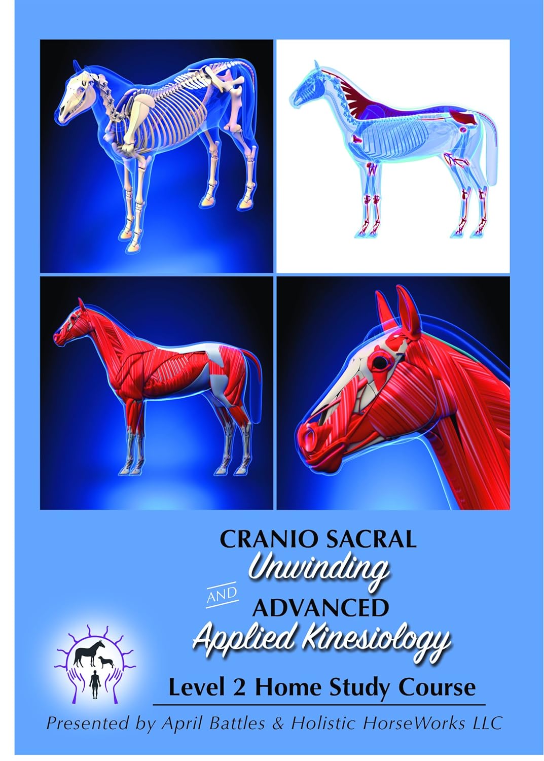 Holistic Horseworks Level 2 Equine CranioSacral Unwinding And Advanced Applied Kinesiology Horse DVD Home Study Course - With 30 Min Skype Session - Level 1 Equine Musculoskeletal Unwinding Required