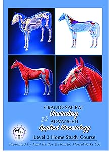 Holistic Horseworks Level 2 Equine CranioSacral Unwinding And Advanced Applied Kinesiology Horse DVD Home Study Course - With 30 Min Skype Session - Level 1 Equine Musculoskeletal Unwinding Required