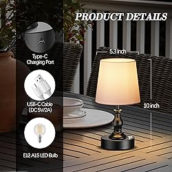 PARTPHONER Mini Cordless LED Table Lamp, 5200mAh