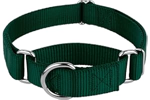 COUNTRY BROOK DESIGN Country Brook Petz - Martingale Dog Collar - Heavy-Duty Training Collar with No Buckle - Service Dog Collar for All Pups - 10+ Cool Colors (Green, 1 Inch, Medium)
