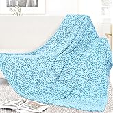 Blue Blanket Twin Size Cyan Throw Blankets Fuzzy Soft Sky Blue Fleece Twin Blankets for Bed Couch Bedroom Home Decor 60"x80"