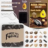 Science Kidz Mega Fossil Dig Kit - 20 Prehistoric Fossils STEM Educational Toy view 5