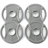 Amazon Basics 2-Inch Olympic Grip Weight Plates, Cast Iron, for Powerlifting, CrossFit &amp; Strength Training