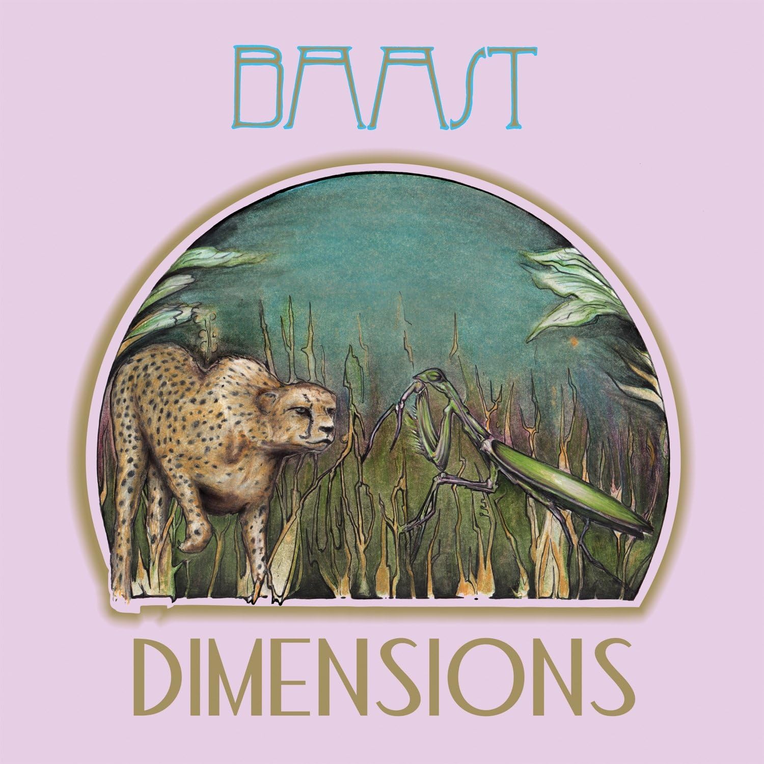Dimensions [VINYL] Amazon.co.uk CDs & Vinyl