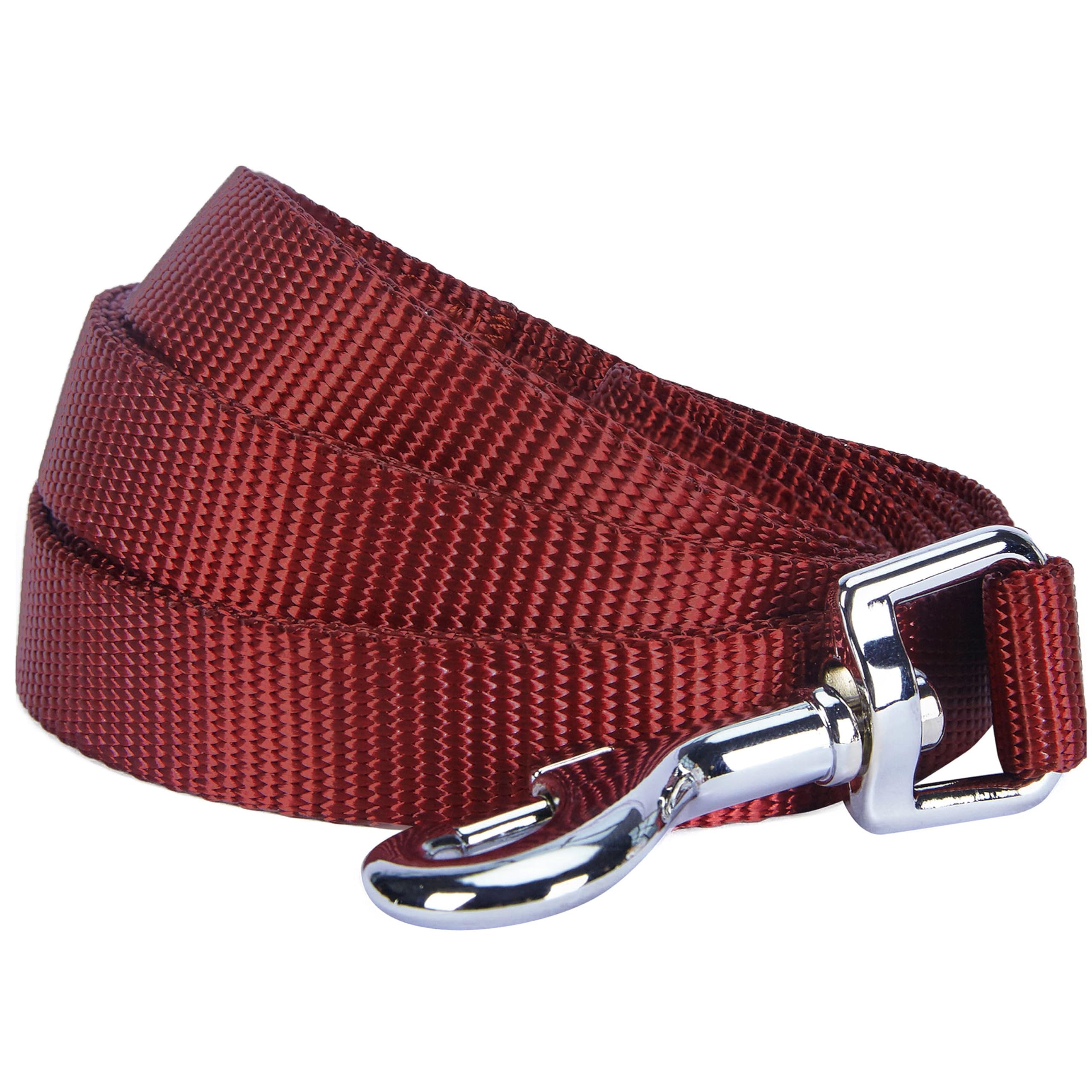 Blueberry Pet Durable Classic Solid Color Dog Lead 120 cm x 2.5cm in Fired Brick, Large, Basic Nylon Leads for Dogs, Matching Collar & Harness Available Separately