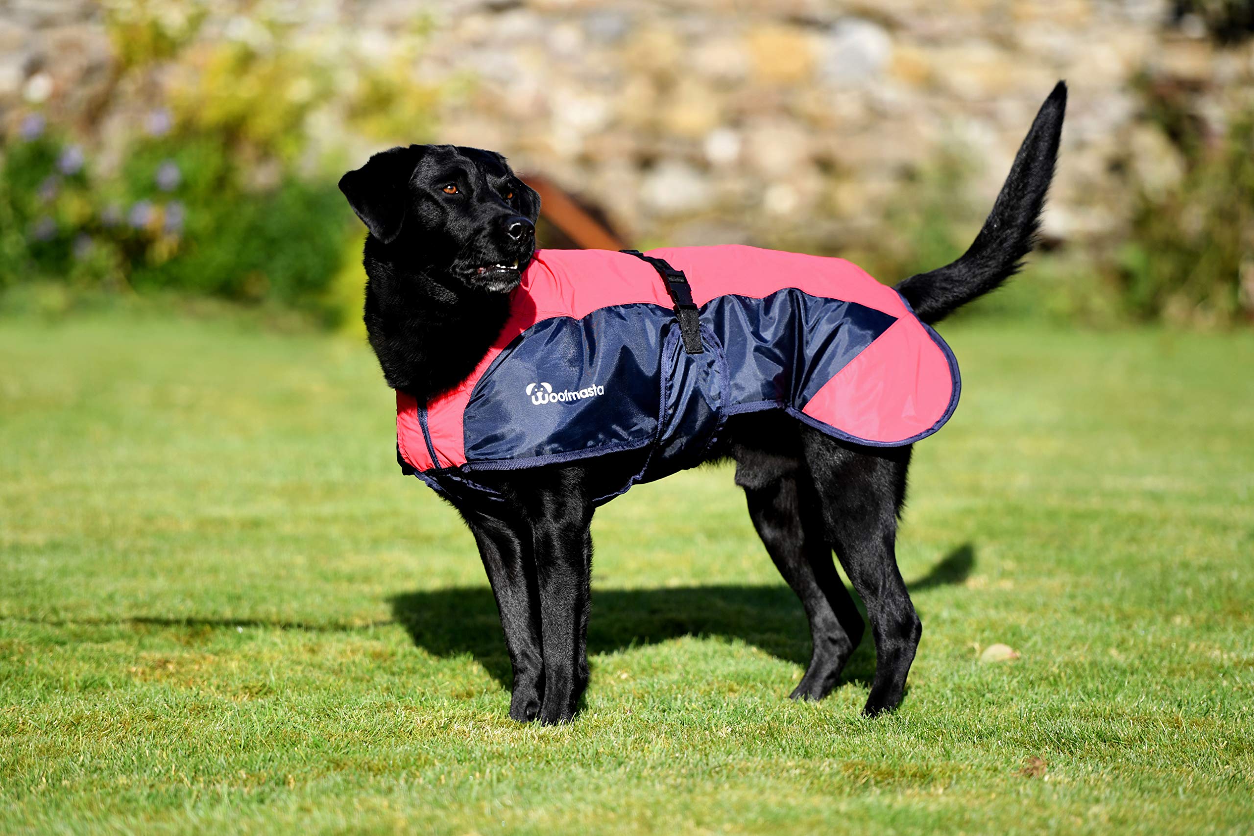 Woofmasta Reflective Waterproof Dog Coat with Harness Hole for Small, Medium, Extra Large Dogs - Thermal Fill for Cold/Winter Weather/Red - Size: 8 inch