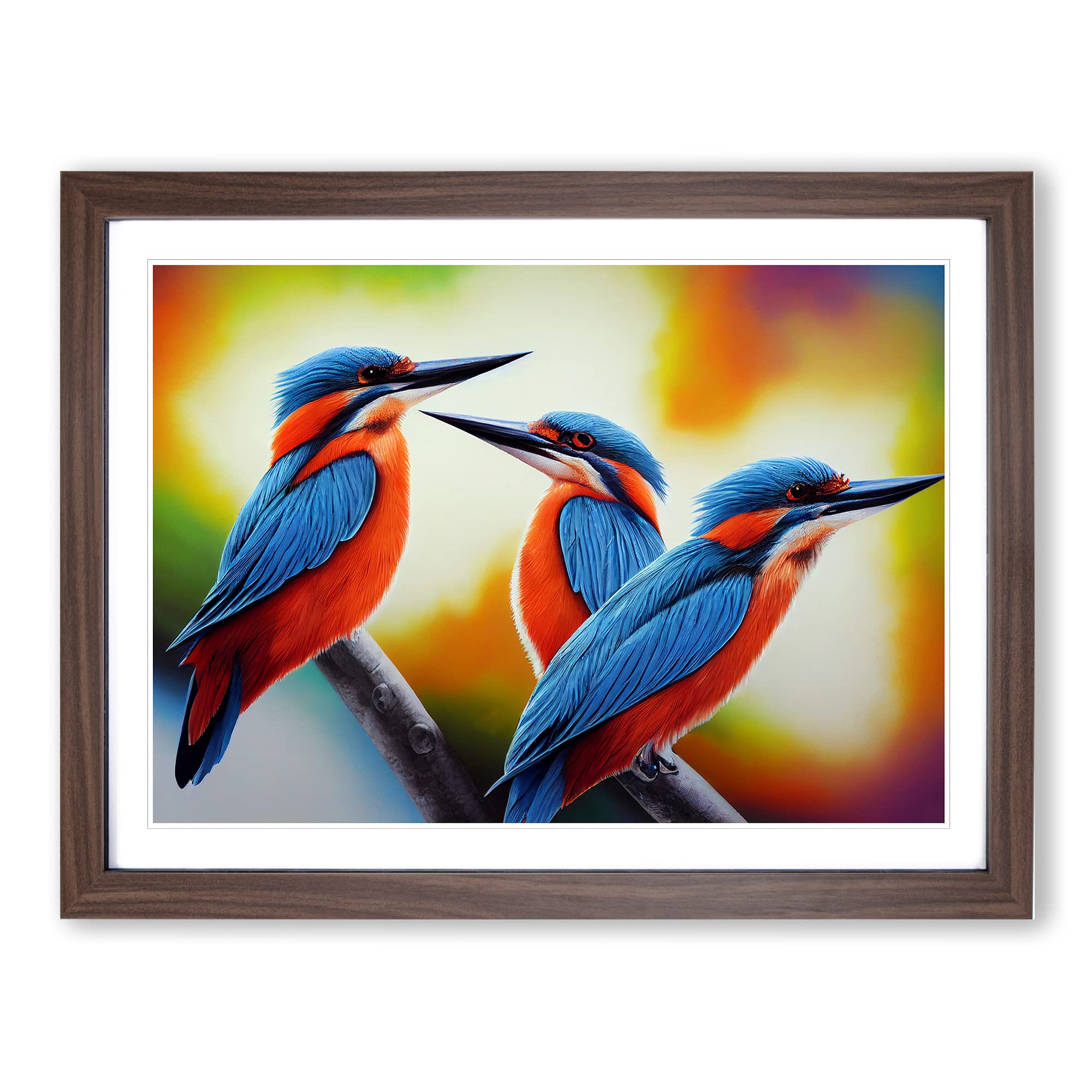 Ultimate Kingfisher Birds Framed Print | A4 Walnut Framed Wall Art | Ready to Hang | Modern Nature Picture | Living Room Bedroom Lounge Office