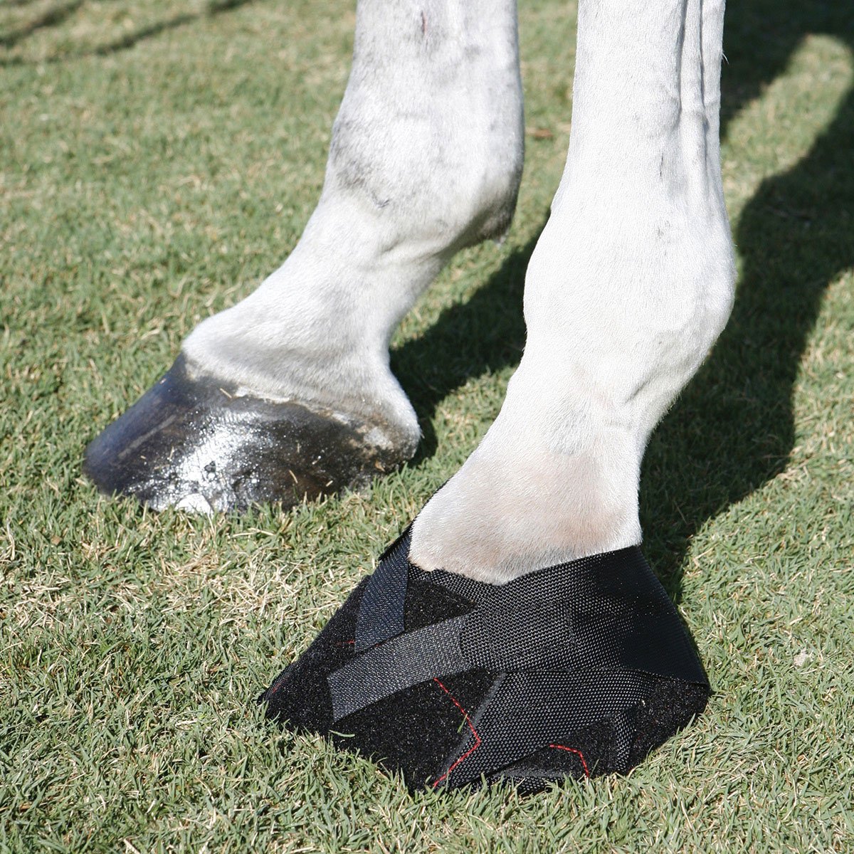 Hoof Wraps Equine Hoof Bandage Horse First Aid/Grooming/Care_Simple