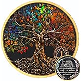 TRSPCWR 1 Year Sobriety Coin Gift Set, Tree of Life AA Chip Medallion with Token Capsule, Storage Box & Card, Sobriety Gifts for Anniversary Month & Year for Men & Women in Recovery