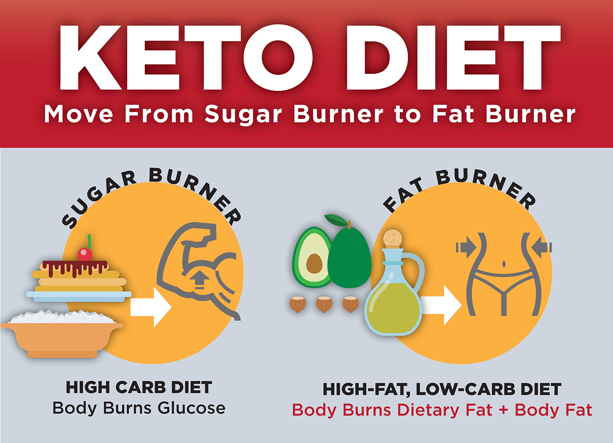 Keto Science Ketogenic MCT Oil Dietary Supplement, Made from 100