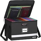 DSDCDJ File Organizer Box, Sturdy Important