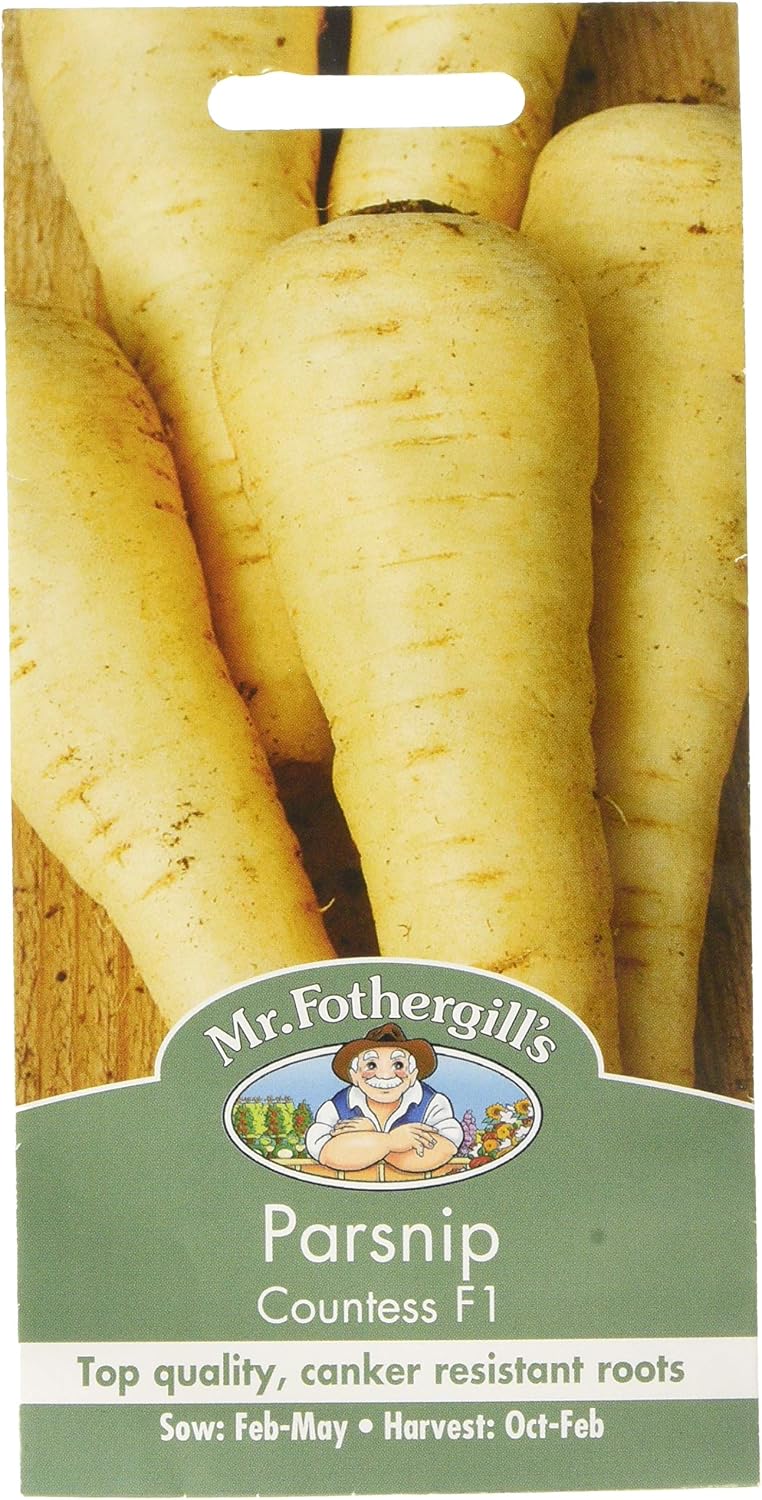 Mr Fothergill's 21806 Vegetable Seeds, Parsnip Countess F1 - Image 4