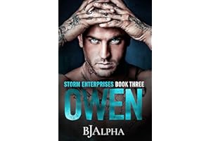 OWEN : STORM ENTERPRISES BOOK 3