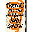 Turtles All the Way Down