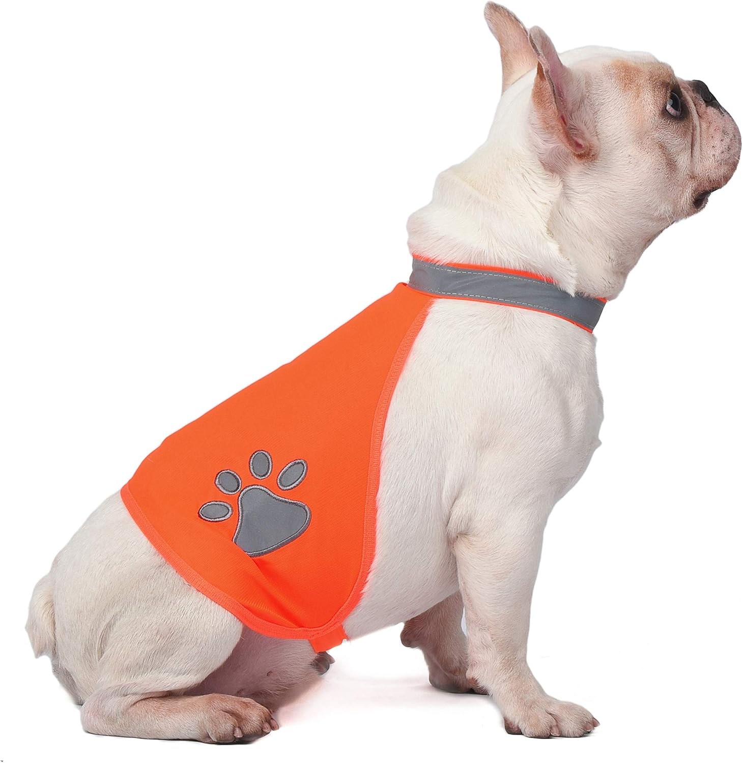 A-SAFETY Dog Reflective Vest, Hi Vis Safety Vest Keeps Dogs Visible On and Off Leash in Both Urban and Rural Environments Yellow,Orange(7.8/9.8/11.8/13.7/15.7/17.7 inches)