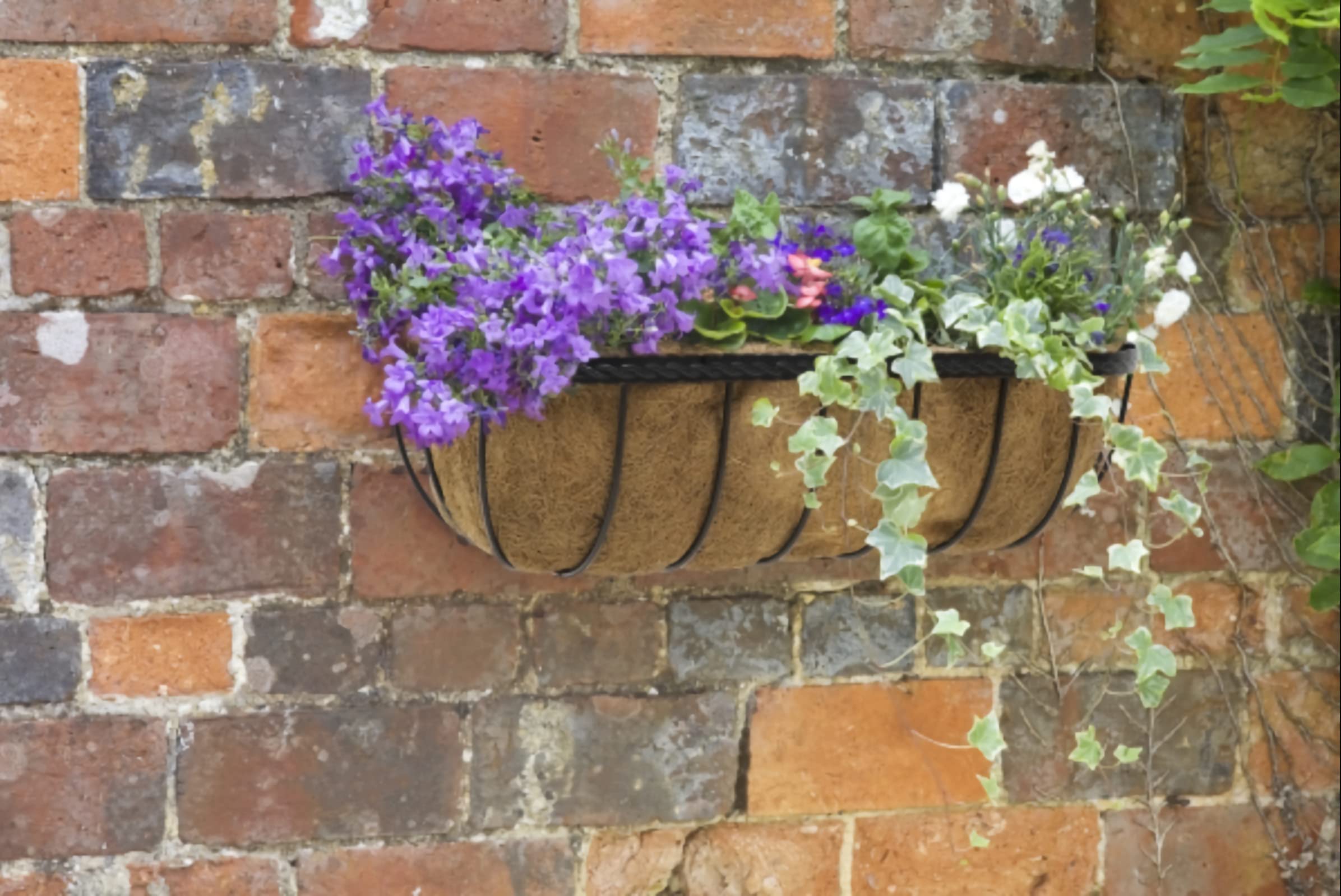 Saxon Wall Trough Planter (76cm)