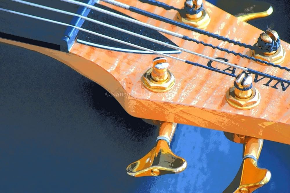 Bass Guitar Photographic Print Musical