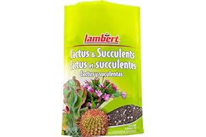 Lambert Cactus & Succulent Mix - 4.4L