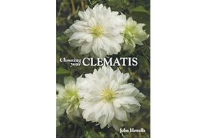 Choosing Your Clematis
