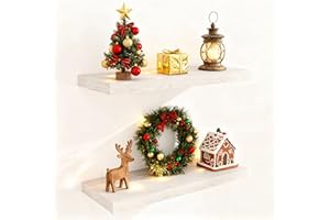 FUN MEMORIES 24 Inch Floating Shelves for Wall 2 Pack for Bedroom|Kitchen|Bathroom, Wall Mounted Rustic Wood Shelves, 9.3 Inch deep Floating Shelf with Invisible Brackets for Books|Storage|Decor,Brich