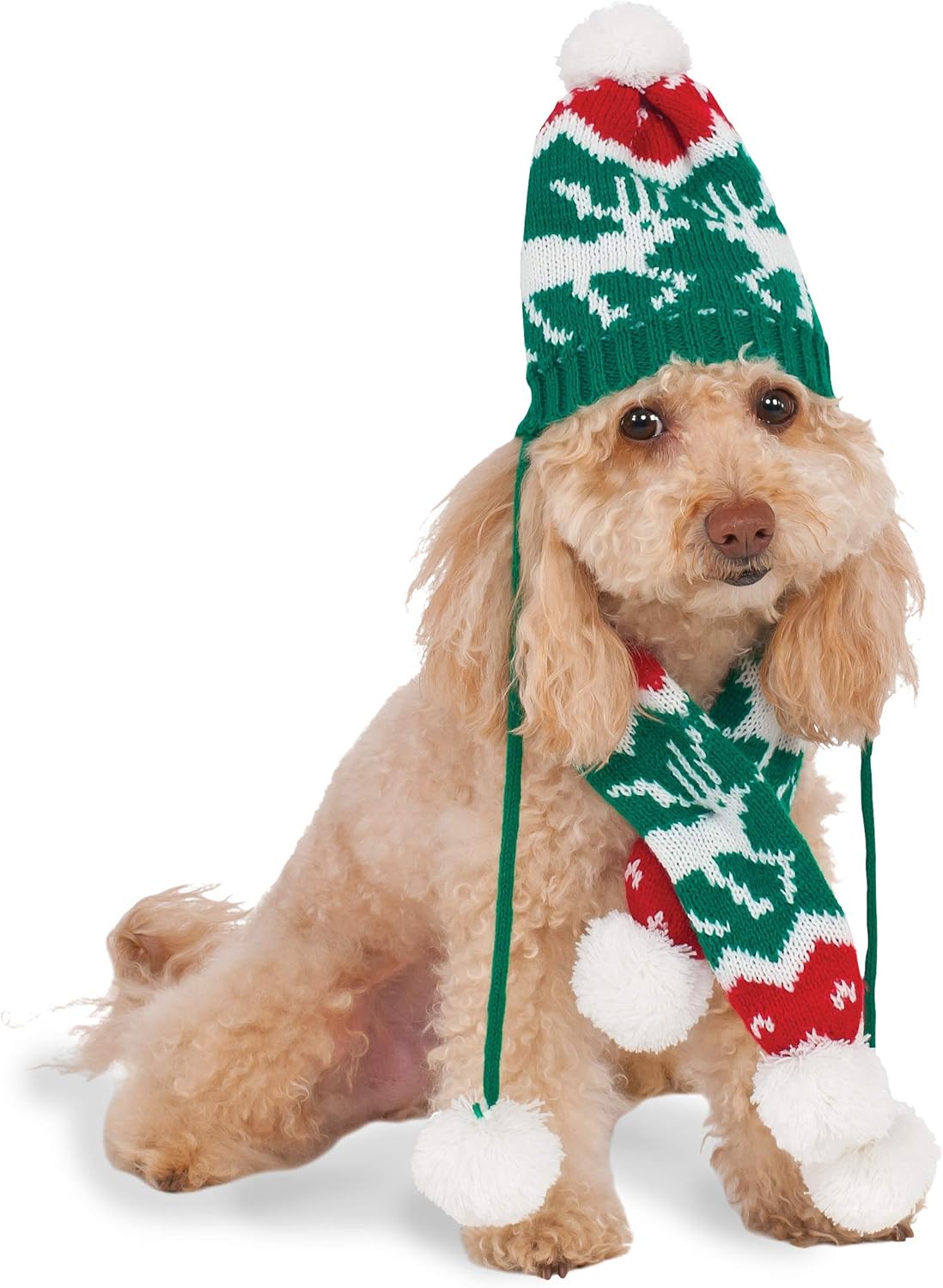 dog hat and scarf set