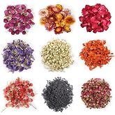 9 Bags Dried Flowers,100% Natural Dried Flowers Herbs Kit for Soap Making, DIY Candle Making,Bath - Include Rose Petals,Lavender,Don't Forget Me,Lilium,Jasmine,Rosebudsand More