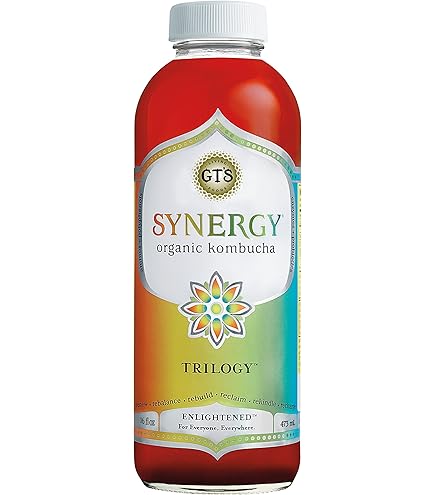 Amazon.com: SYNERGY The Real Kombucha Trilogy Kombucha - 16 fl oz